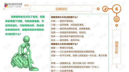 大米姐品牌營(yíng)銷策劃案商業(yè)計(jì)劃書(shū)